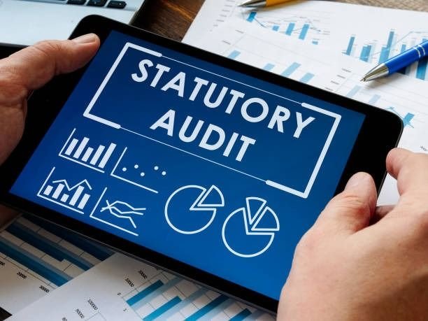 Indian Statutory Compliance and Financial Certification
